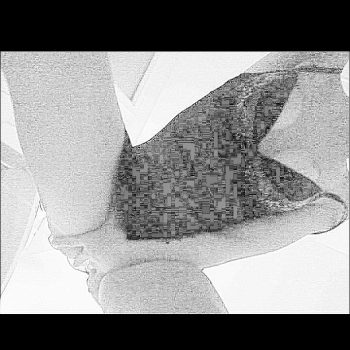 Wallen - Argelliers - Hérault | Speed Dating