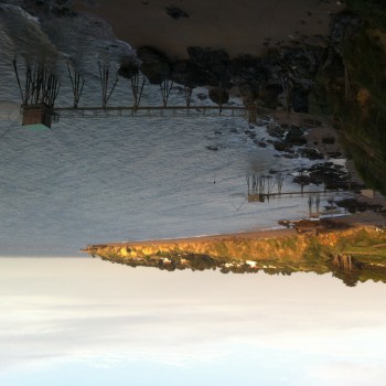 Elyane - Andelu - Yvelines | Speed Dating