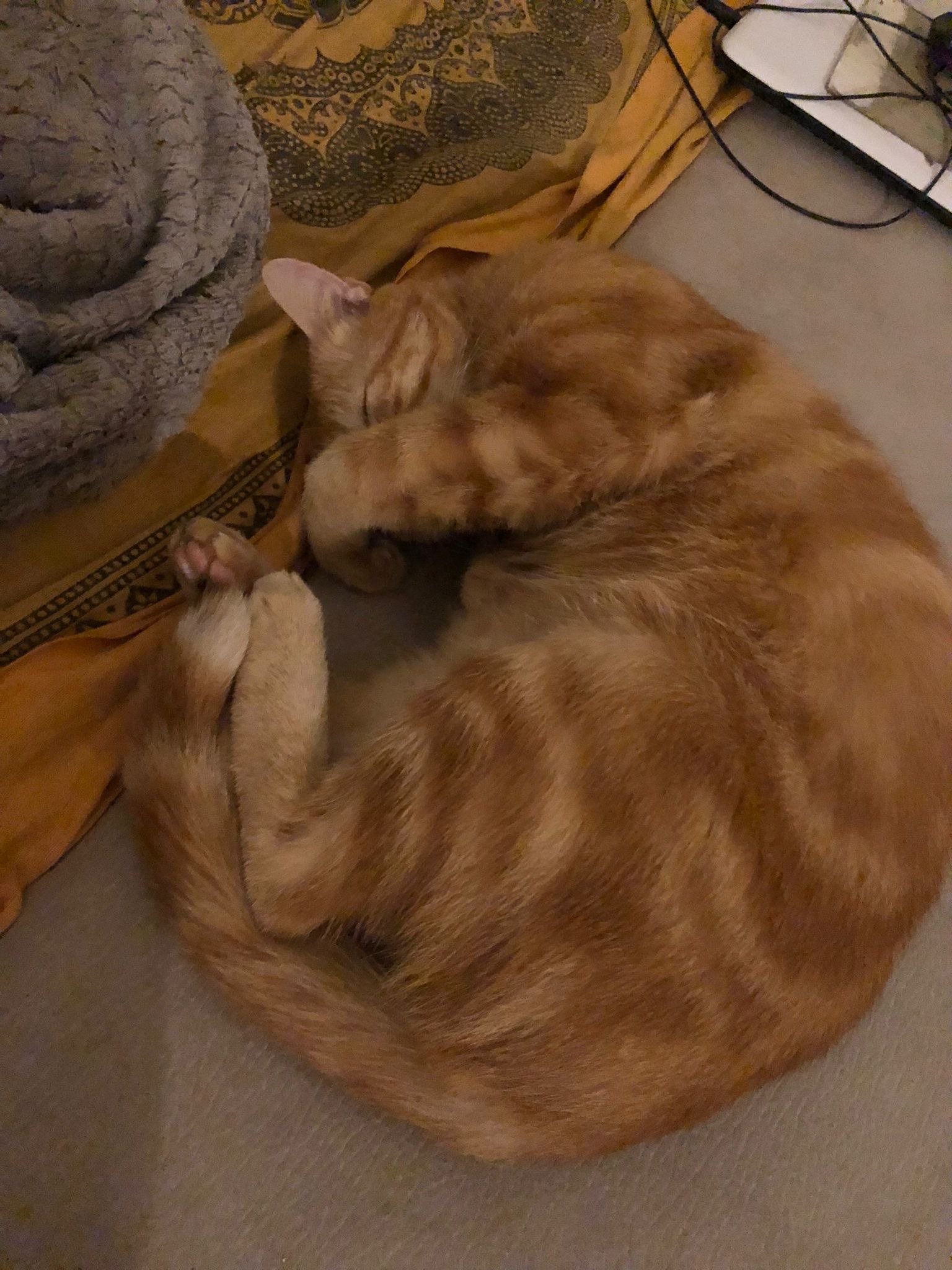 Emiliano - Allonnes - Eure-et-Loir | Speed Dating