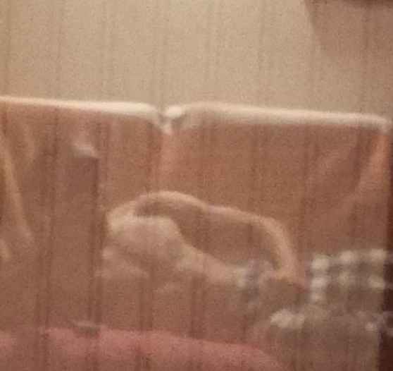 Dev - Attichy - Oise | Speed Dating