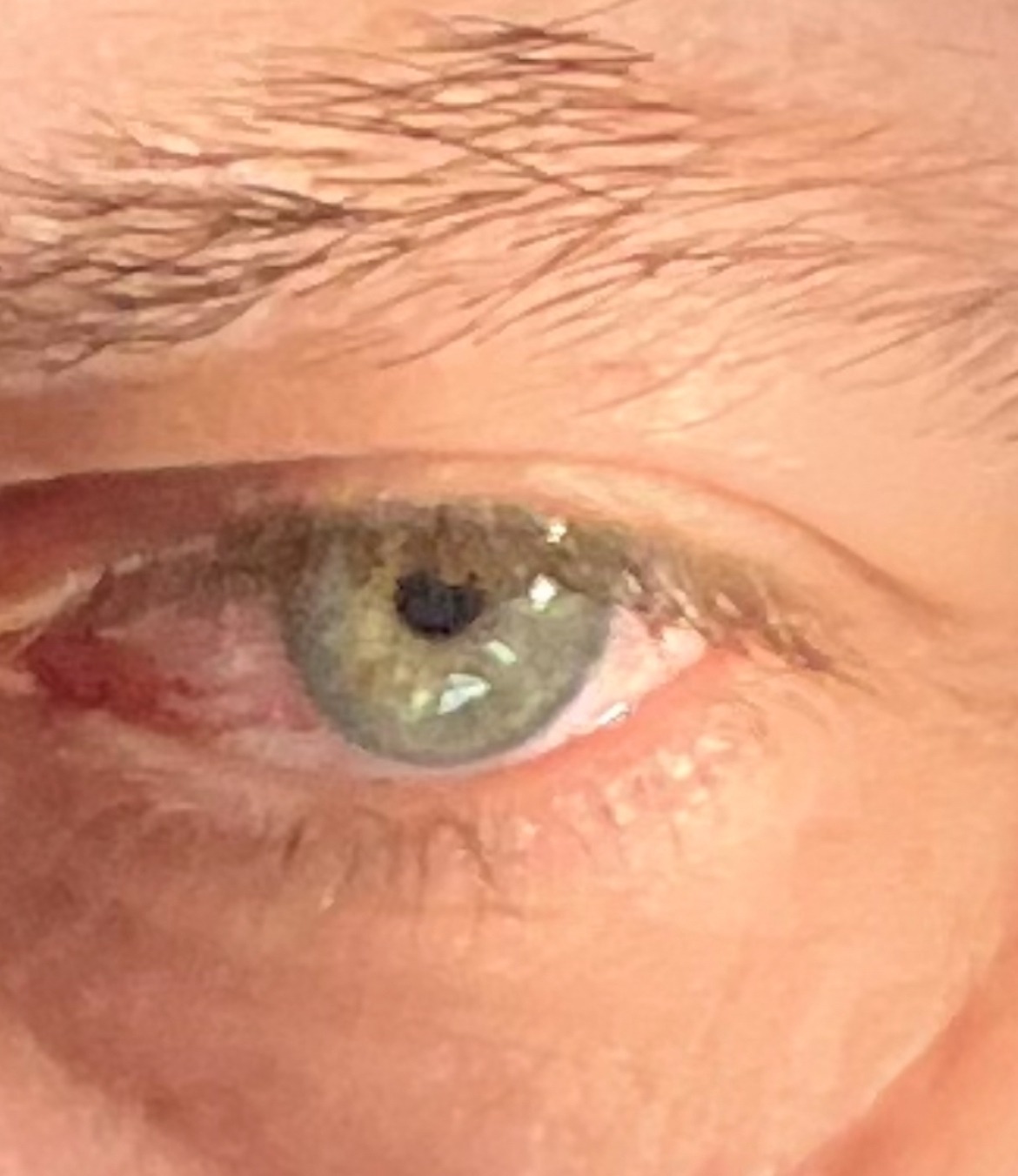 Bendji - Aussos - Gers | Speed Dating