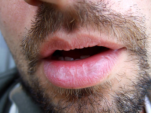 Menahem - Anoye - Pyrénées-Atlantiques | Speed Dating