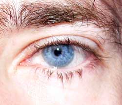 Bakari - Arignac - Ariège | Speed Dating